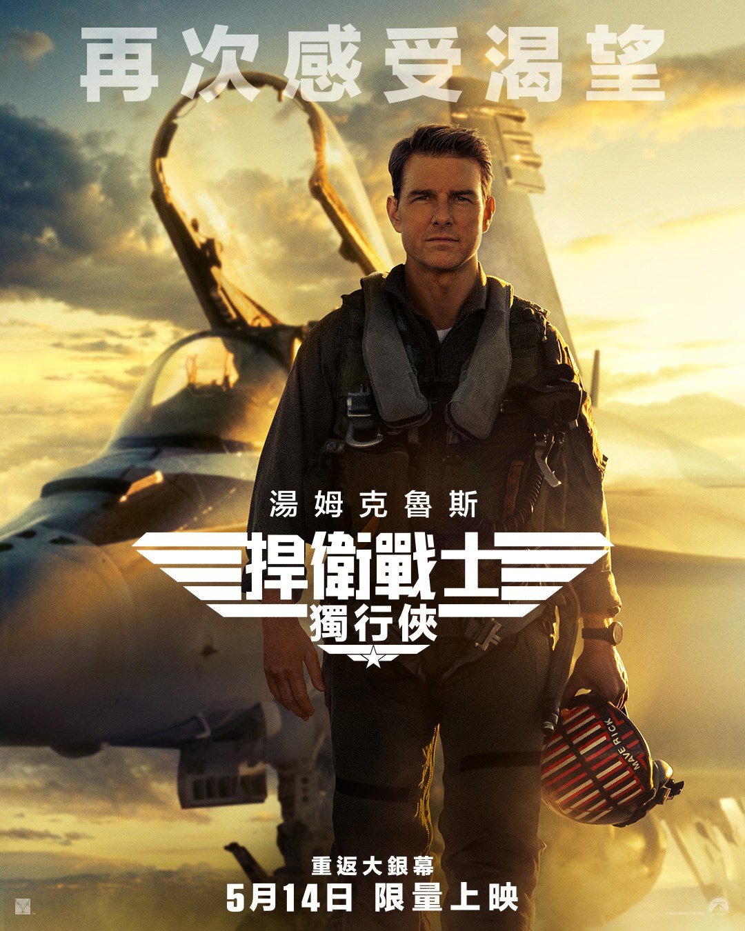 捍衛戰士: 獨行俠 電影海報